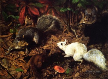 動物 Painting - 白リスとして知られるリス ウィリアム・ホルブルックのひげのある動物